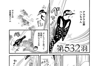第５３２羽 표지
