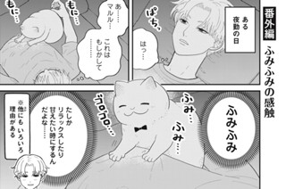 84화 番外編41 ふみふみの感触 표지