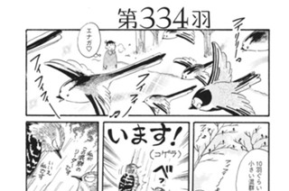 第３３４羽 표지