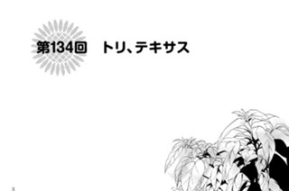 第１３４回 トリ、テキサス 표지