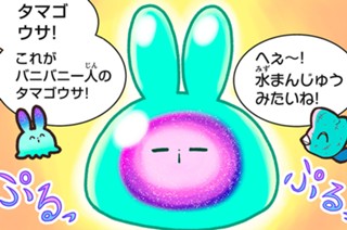 おまけ６ カンムリブダイ 표지