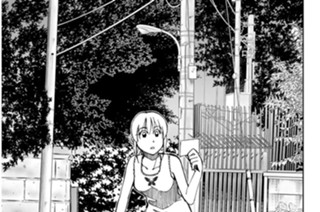 アニマ 표지