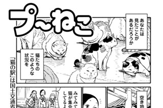 第２０２回 표지