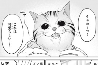 Ｅｓｃａｐｅ．３３ 学校猫 표지