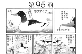 第９５羽 표지