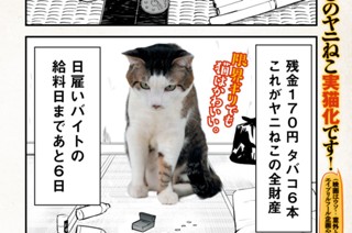 【実写版】 표지