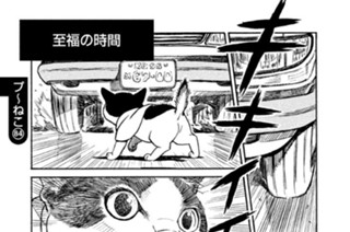 プ〜ねこ（８４） 至福の時間 표지