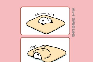 193화 １９３．来たよ、羽毛布団の季節 표지