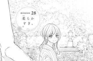 ｍｉｓｓｉｏｎ ２８ 柔らかすぎ。 표지