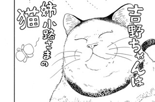 その５ 표지
