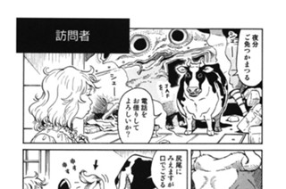 プ〜ねこ（９） 표지