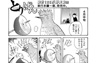第７２９羽 표지