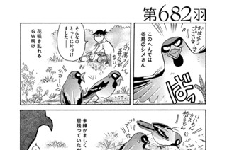 第６８２羽 표지