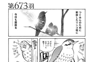 第６７３羽 표지