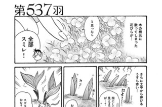 第５３７羽 표지