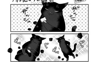 【74缶め】 표지