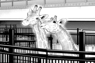 第７８話 選んだ道を進む② 표지