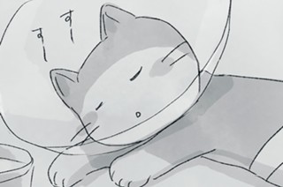 第１０話 きなこ０歳６ヵ月 표지