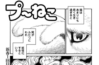 第２１３回 표지