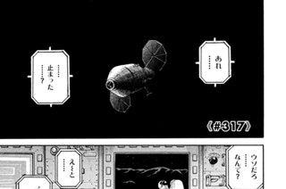 《＃３１７》優しい嘘（うそ） 표지
