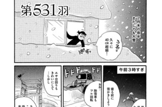 第５３１羽 표지