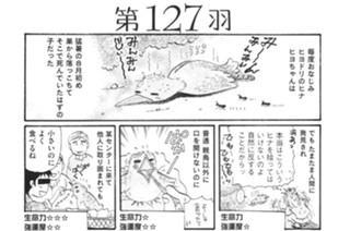 第１２７羽 표지