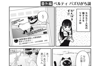 71화 番外編34 ペルティ バズりがち説 표지