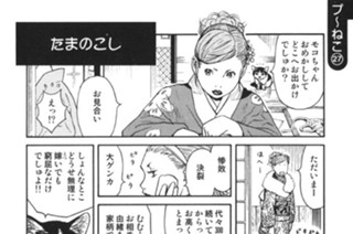 プ〜ねこ（２７） 표지