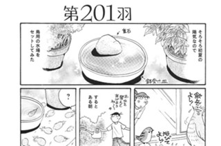 第２０１羽 표지