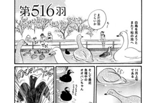 第５１６羽 표지
