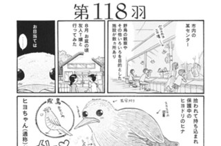 第１１８羽 표지