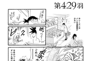 第４２９羽 표지
