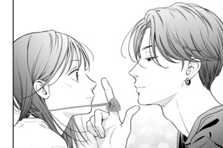 ＶＯＬ．００５ とりけす（４） 표지