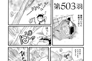 第５０３羽 표지