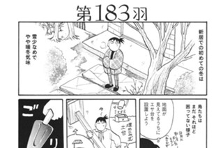 第１８３羽 표지