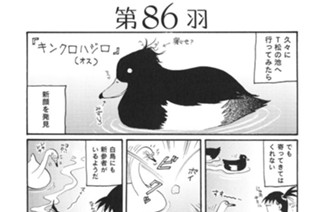 第８６羽 표지