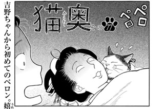その７７ 표지