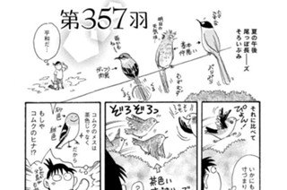 第３５７羽 표지