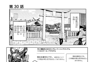 第３０話 ＃８２ 寸鉄エルフも刺す 표지