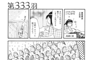第３３３羽 표지