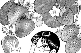 いちご煮の幸せ 표지