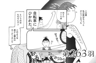 第２６３羽 표지
