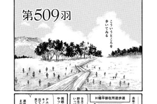 第５０９羽 표지