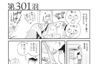 第３０１羽 표지