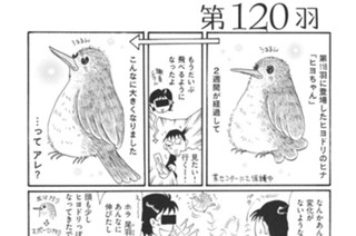 第１２０羽 표지