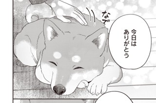 第36話 (2) 표지