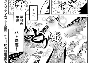 第７２５羽 표지