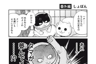 30화 番外編16 표지