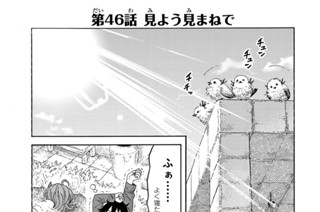 第４６話 見よう見まねで 표지