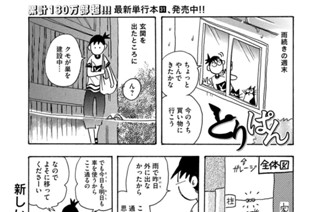第８８６羽 표지
